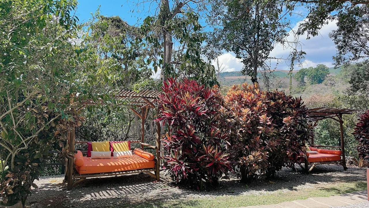 Hotel Casas De Campo El Ciruelo سان جيل المظهر الخارجي الصورة